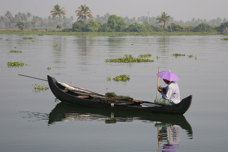 A boatman paddling a wooden canoe on the calm Kerala backwaters