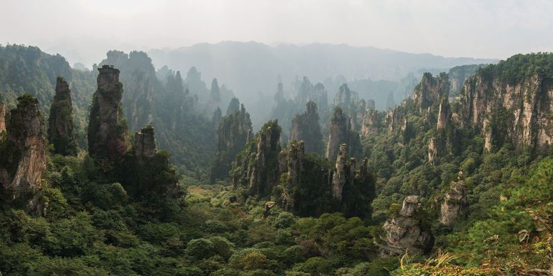 Sandstone pillars rising from forest in Zhangjiajie